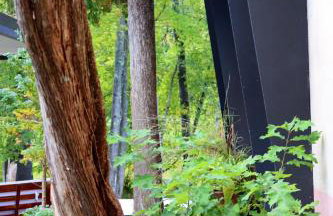 WOODSTOCK HISTORIC ARTIST ESTATE - THE MUSEUM HOUSE - Foto 38