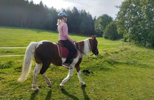 Ferienhof Kagerbauer - Foto 7