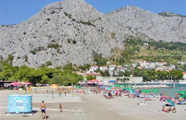 House of Green Experience - Foto 41