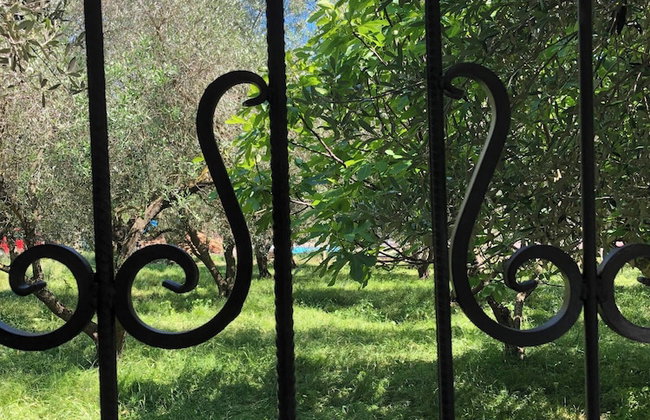 Rajana Bungalow 2 - Photo 15