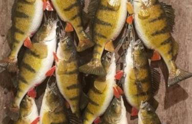 The Westender - Foto 16