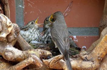 Ferienhaus an der Grenze zu Hamburg Zentrale Lage - Foto 61