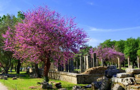 Peter's Country House - Foto 42