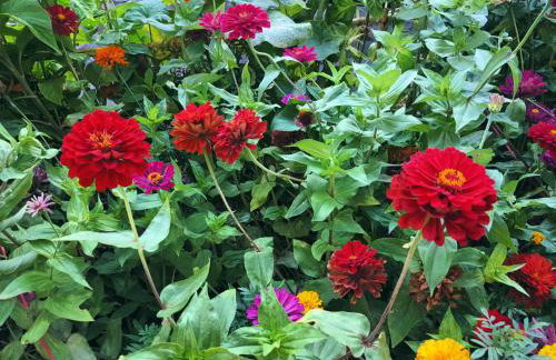 Studio Kalypso - Foto 27