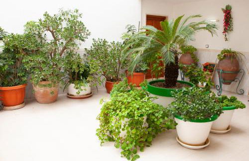 Atalaya Bosque Apartamentos - Foto 14