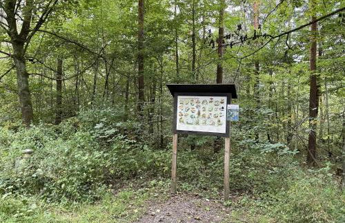 Erlachoase - Photo 52