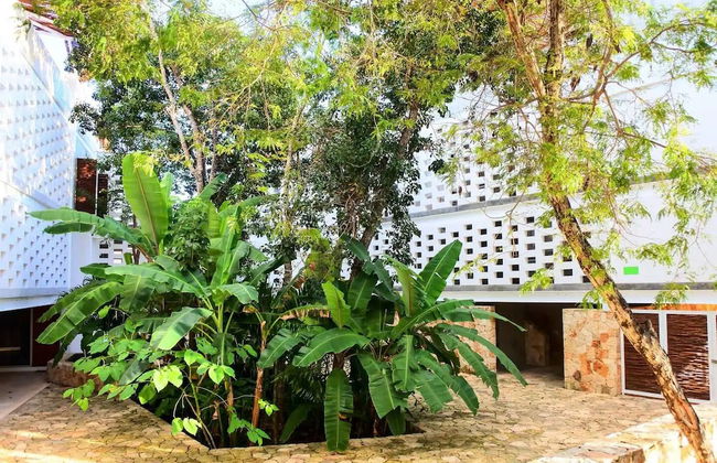 Casa de Piedra Tulum - Photo 1