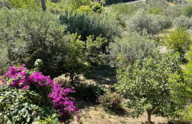 GRAN SASSO HOUSE - Foto 15