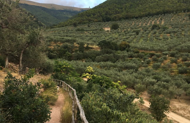 Setter House Agri Hotel - Foto 64