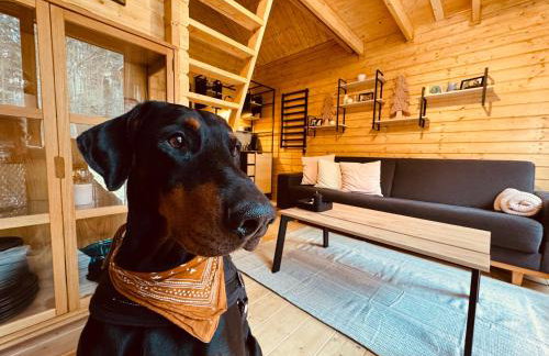 aResowa Wioska - Foto 11