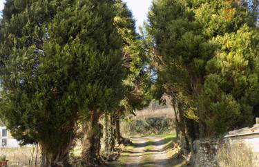 Holdstrong Farmhouse - Foto 17