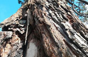 Sellin - Seedorf Am Neuensiener See Apartment 08 - Foto 45