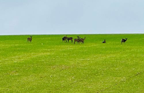 la vallée du paradis studio avec balnéothérapie en campagne - Foto 32