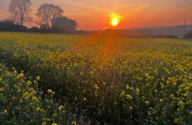 Lavender Cottage - Foto 29