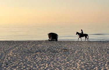 Meeresrauschen 03 - Foto 15