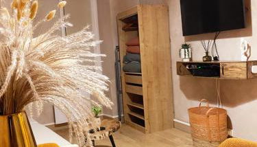 Charmant T1 hypercentre Nantes - Foto 4