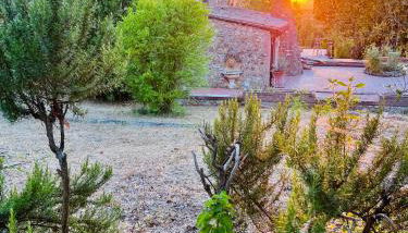 Casale Delle Querce farmhouse in Giove Umbria with pool - Foto 1, Garden view