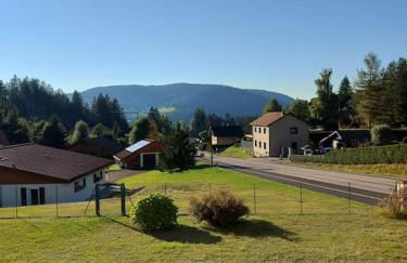 Bel appartement dans une ferme Vosgienne - Foto 22