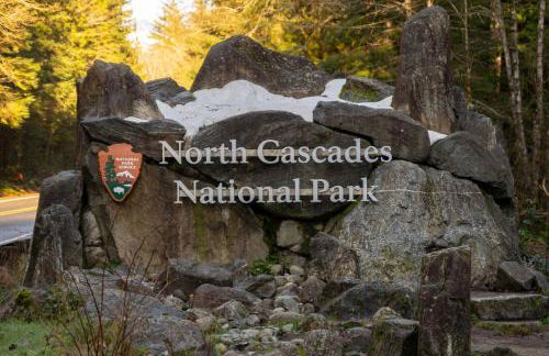 Secluded Forest Cabin with Hot Tub and Private Waterfall - Foto 46