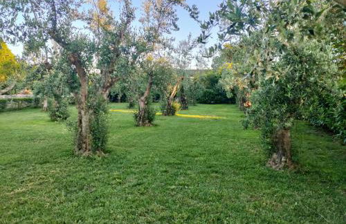 IL GIARDINO DI ATHENA - Foto 6