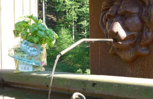 Holiday Home in Walscheid mit Terrasse- Grill by Interhome - Foto 39