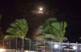 Flat do BZ - 2 quartos- Praia de Tabatinga- Conde - Foto 14