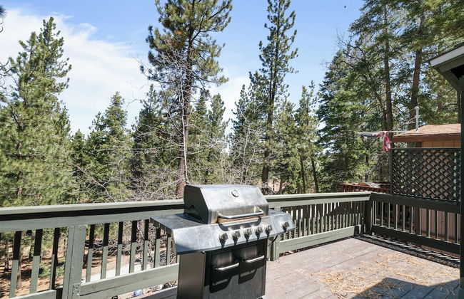 Treetop Falls - Foto 17