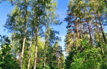 Całoroczny dom w sercu Mazur - Photo 18