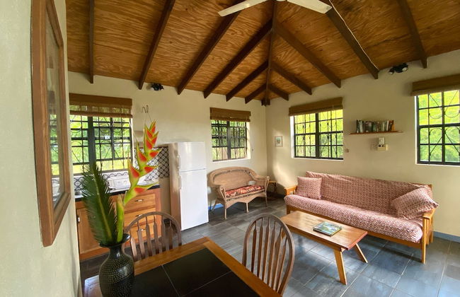 Sea Cliff Eco-Cottages & Gin Distillery - Photo 6