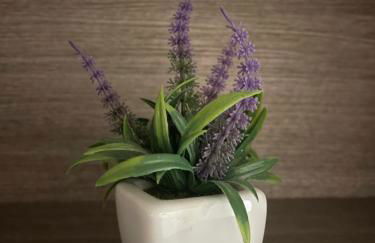 Casa Rosa - Photo 17