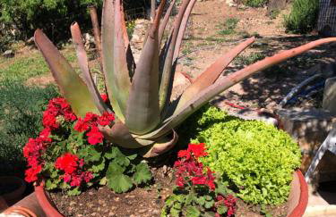 ARETI Sea View Mountain Cottage - Foto 20