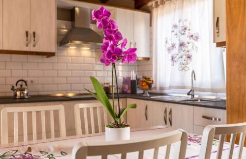 Casa Quintana - Apartamento Carla - Foto 5