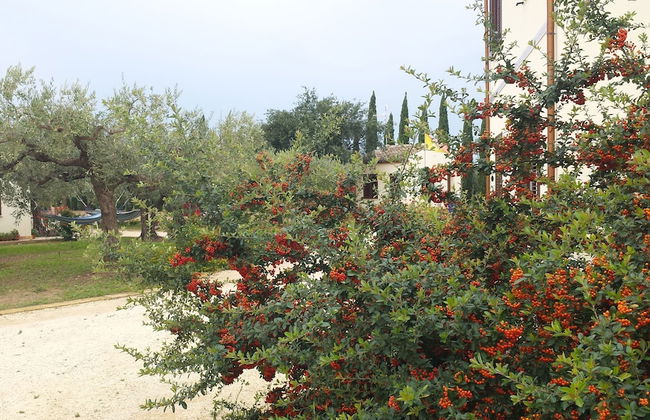 Agrisicilia - Foto 33