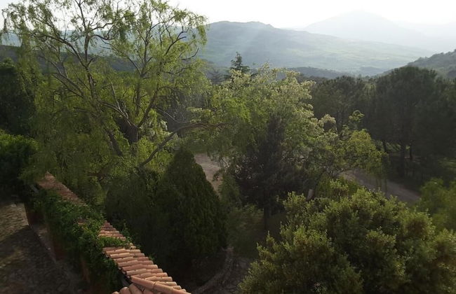 Giardino Donna Lavia - Photo 39