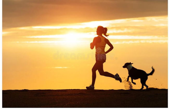 Turnberry Serviced Apartments - Photo 70