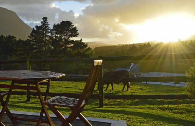 High Season Farm - Photo 4