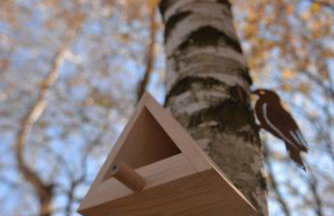 JURA GLAMP luksusowe całoroczne domki na wyłączność KOPUŁY IGLOO taras ogród - Foto 41