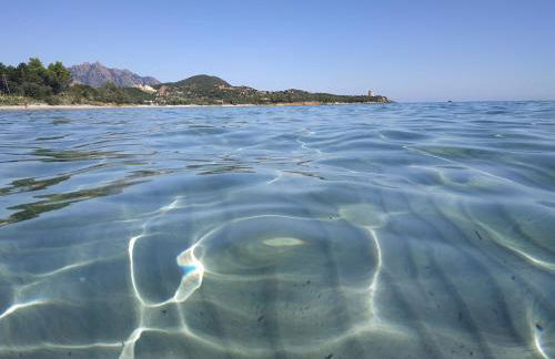 Vacanza in Ogliastra - Foto 28