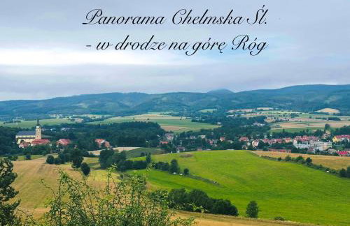 Chełmski Zakątek - Foto 19