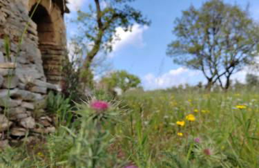 Terre di Sveva - Foto 41