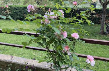 Chianti's Secret Nest - Cozy home with sunset view - Foto 44