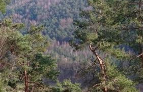 Haus Angermann - Foto 35