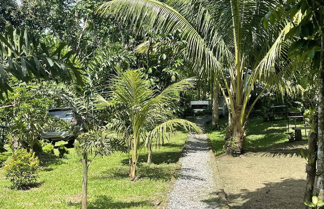 The Twin Studio Cottages - Foto 37