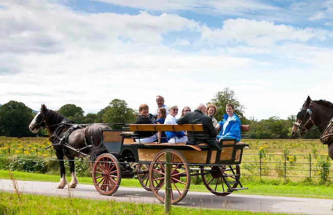 Madams Hill House Killarney - Foto 15