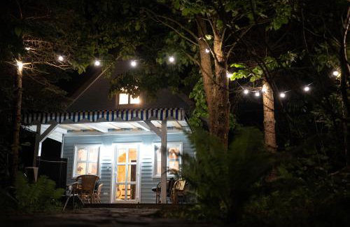 Kwiat Paproci - Foto 17