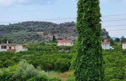 D&D apartments - Photo 42