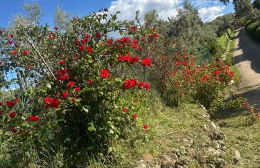 Casa rural La Portilla - Foto 3