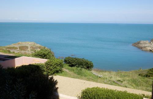Appartement vue mer Port Vendres Collioure direct crique wifi - Foto 5
