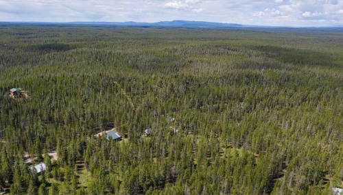 Grey Wolf Retreat by KABINO Sleeps 20 Commercial Kitchen Fire Pit WiFi Bunk Beds - Foto 2