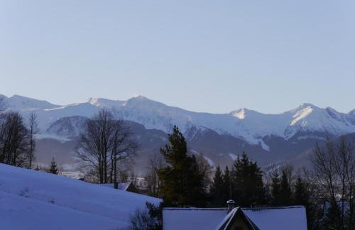 Domki Górskie Widoki - Foto 49